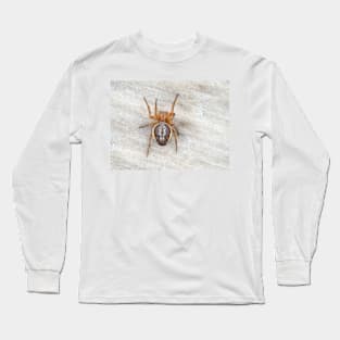 Araniella displicata, the sixspotted orbweaver Long Sleeve T-Shirt